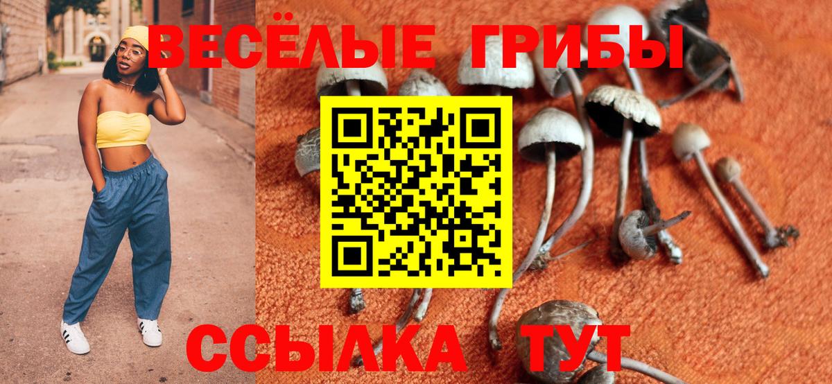Псилоцибиновые грибы мухоморы Узловая