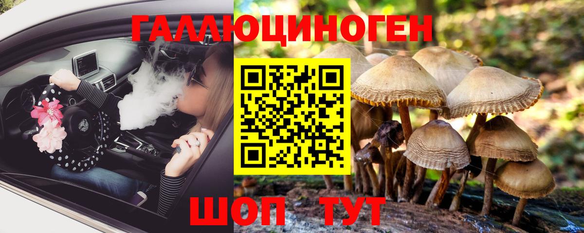Узловая  что такое   Галлюциногенные грибы ЛСД  Вход с VPN  Галлюциногенные грибы прущие грибы 